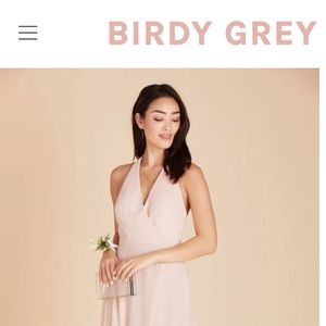 Birdy Grey dress- NEVER worn or altered. Style: Moni Color: pale blush